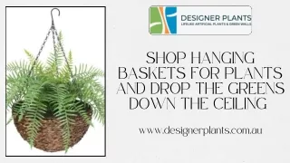 Shop Hanging Baskets for Plants and Drop The Greens Down The Ceiling