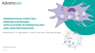 mesenchymal stem cell derived exosomes