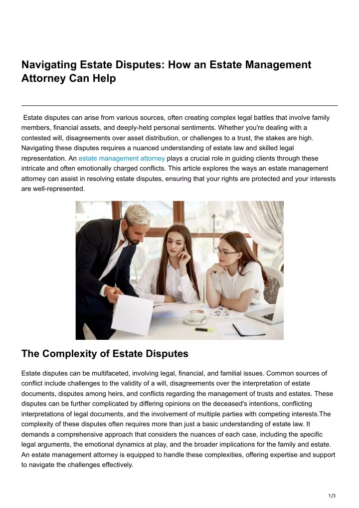 navigating estate disputes how an estate