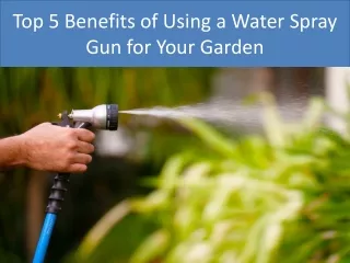 Top 5 Benefits of Using a Water Spray Gun for Your Garden