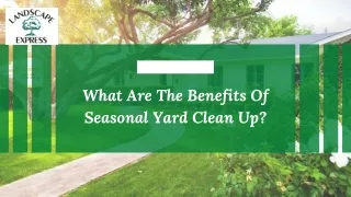 What Are The Benefits Of Seasonal Yard Clean Up