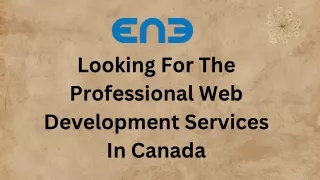 looking for the professional web development