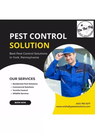 Secure Your Home With On the Fly Pest Solutions in Pikesville and Hanover, PA.