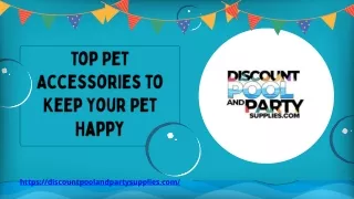 Top Pet Accessories to Keep Your Pet Happy