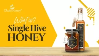 Unique Single hive Honey From Wild Honey Hunters