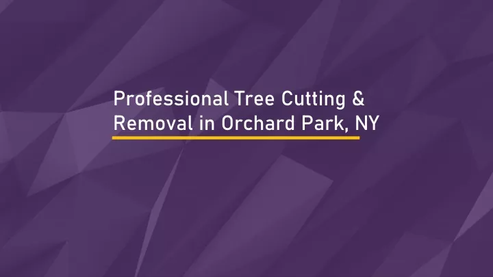 professional tree cutting removal in orchard park