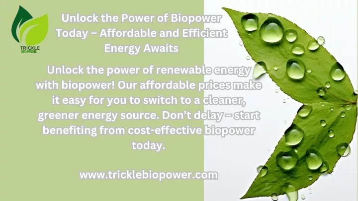 unlock the power of biopower today affordable