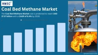 Coal Bed Methane Market Outlook: Growth Trends and Future Forecast