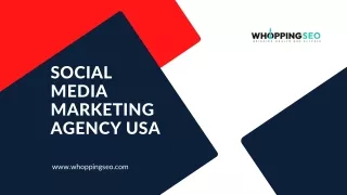 SOCIAL MEDIA MARKETING AGENCY USA