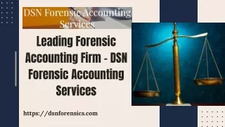 Leading Forensic Accounting Firm – DSN Forensic Accounting Services