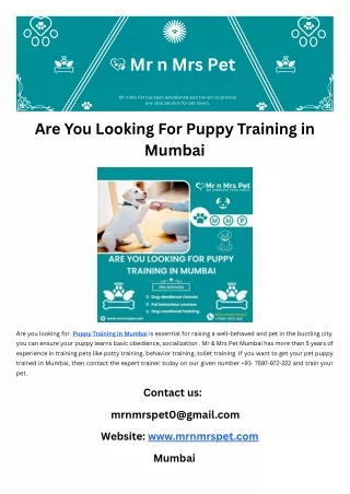 Are You Looking For Puppy Training in Mumbai