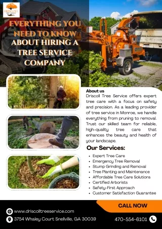 Everything You Need to Know About Hiring a Tree Service Company