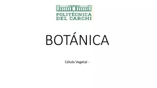 bot nica