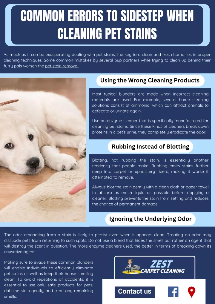 common errors to sidestep when cleaning pet stains