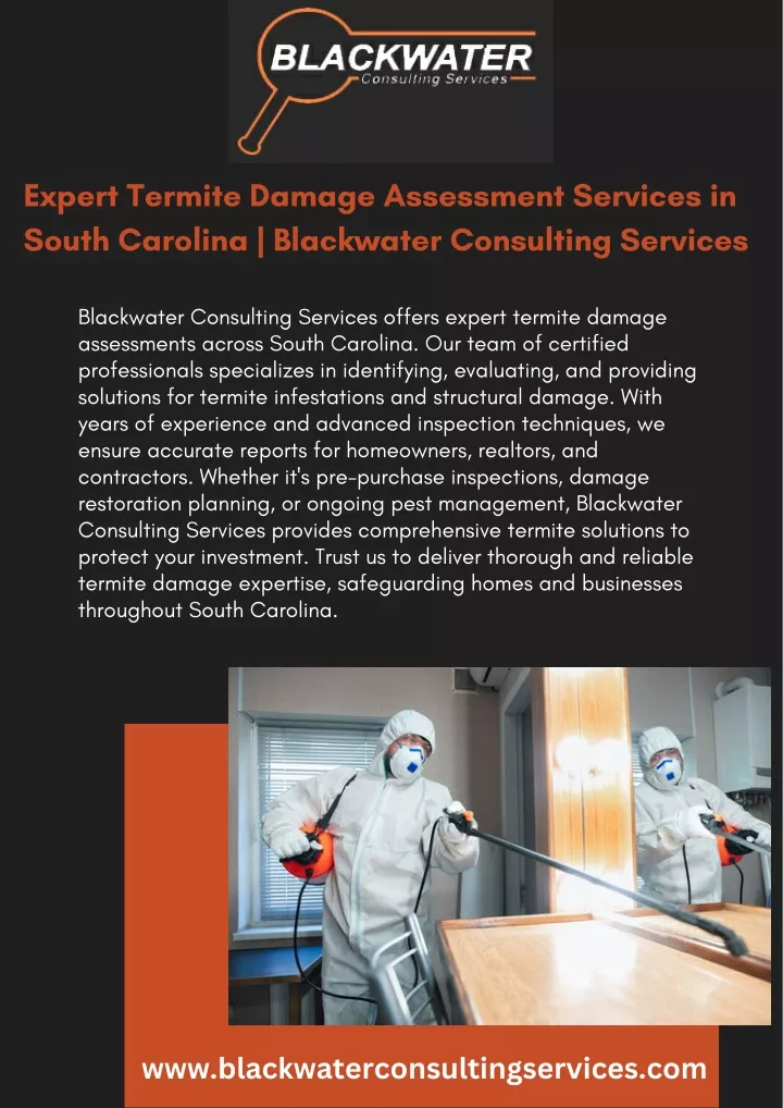 expert termite damage assessment services