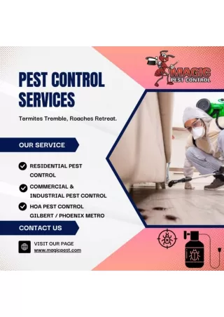 Premium Pest Control Services at Magic Pest Control in Gilbert, Queen Creek, and