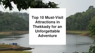 Top 10 Must-Visit Attractions in Thekkady for an Unforgettable Adventure