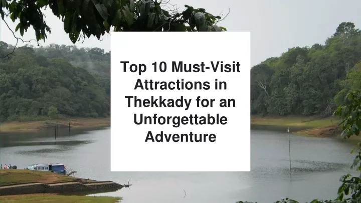 top 10 must visit attractions in thekkady for an unforgettable adventure