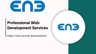 professional web development services