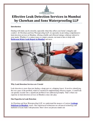 Professional Leak Detection Services in Mumbai