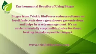 How Does Trickle BioPower Convert Waste into Energy?