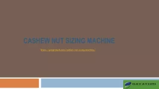 Automatic Raw Cashew Nut Sizing System, Cashew Nut Size Grading Machine Manufact