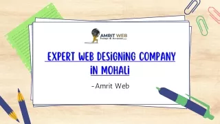 Expert Web Designing Company in Mohali amrit web