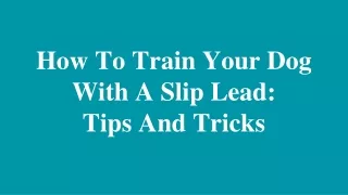 How To Train Your Dog With A Slip Lead Tips And Tricks