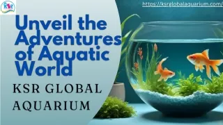 Unveil the Adventures of Aquatic World