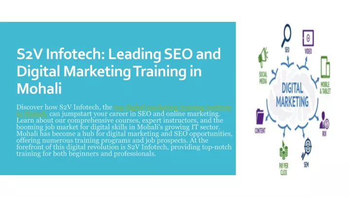 s2v infotech leading seo and digital marketing training in mohali