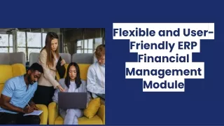 flexible and user friendly erp financial