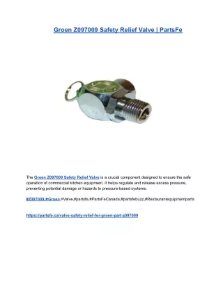Groen Z097009 Safety Relief Valve _ PartsFe