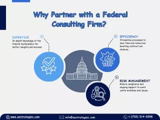 Why partner with a federal consulting firm?