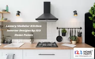 Luxury Modular Kitchen Interior Designs by 123 Home Paints