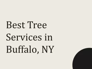 Best Tree Services in Buffalo, NY