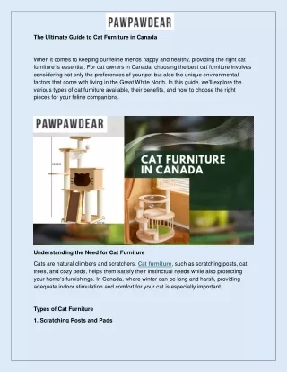 The Ultimate Guide to Cat Furniture in Canada