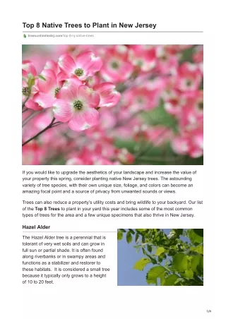 Top 8 Native Trees to Plant in New Jersey