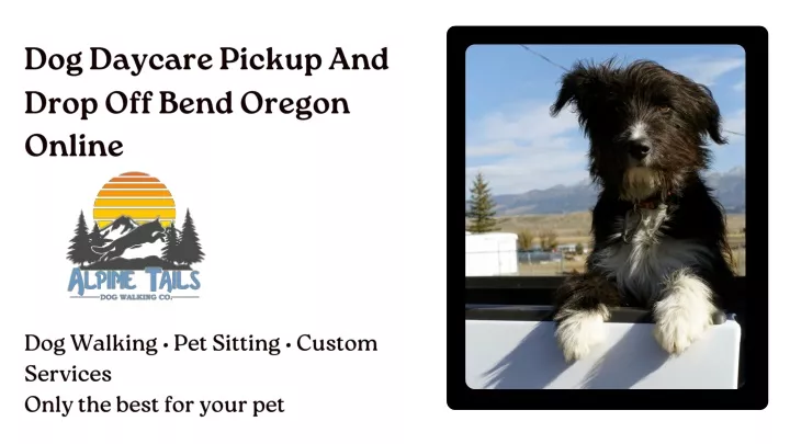 dog daycare pickup and drop off bend oregon online