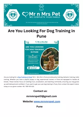 Are You Looking For Dog Training in Pune