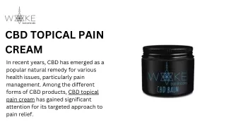 CBD Topical Pain Cream - Fast Relief by Shanti Life Shop