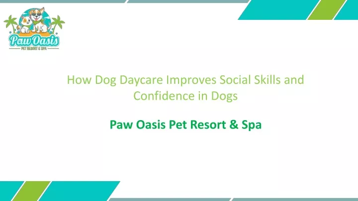 paw oasis pet resort spa