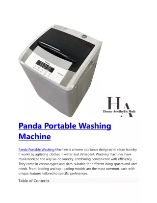 Panda Portable Washing Machine