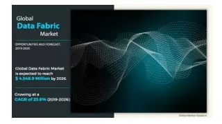 Data Fabric Market Segmentation and Growth Analysis by Industry Verticals