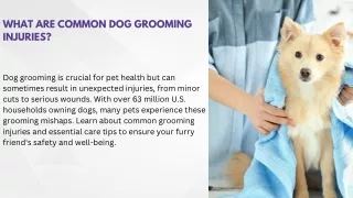 what are common dog grooming injuries