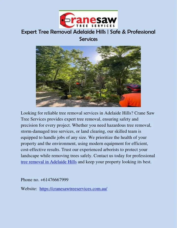 PPT - Expert Tree Removal Adelaide Hills PowerPoint Presentation, free ...