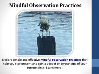 mindful observation practices
