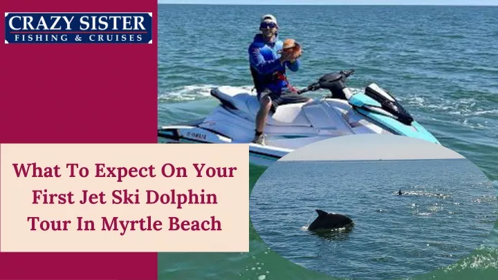 what to expect on your first jet ski dolphin tour