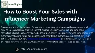 Top Influencer Marketing Agency in Delhi | Brandlogies