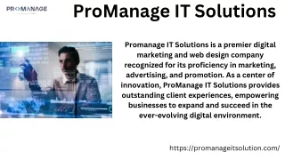 ProManage IT Solutions