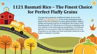 1121 Basmati Rice – The Finest Choice for Perfect Fluffy Grains